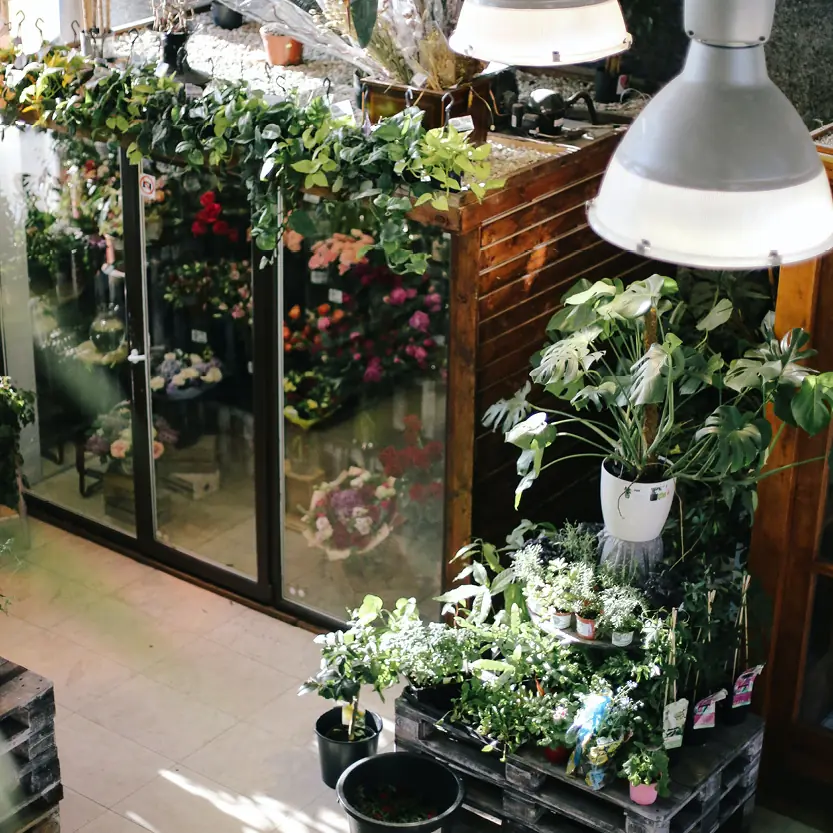 Servicepunten en showrooms van De Driesprong